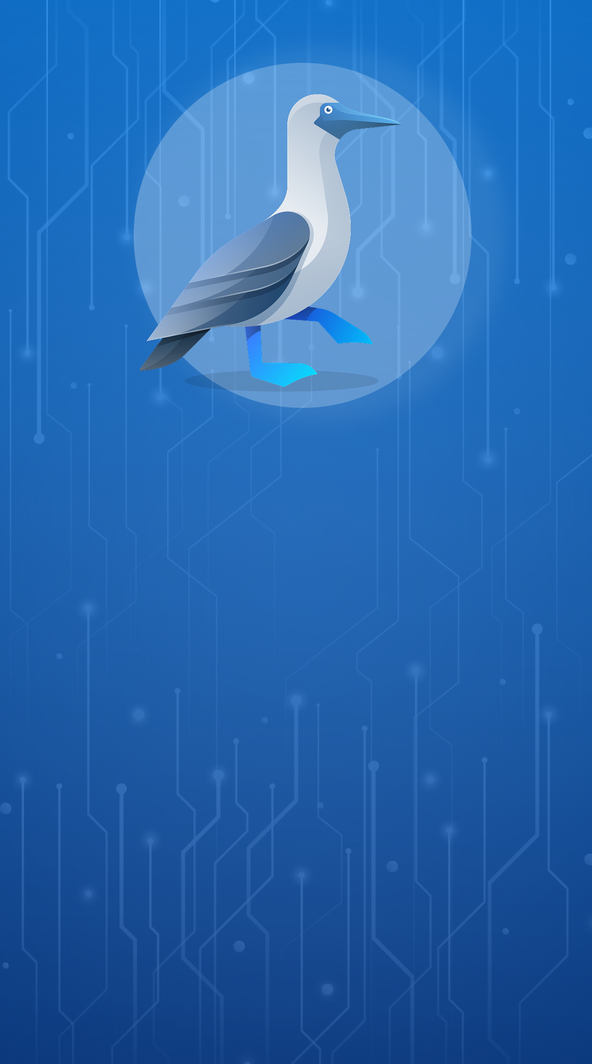 Bluepick-Logo - der Blaufußtölpel