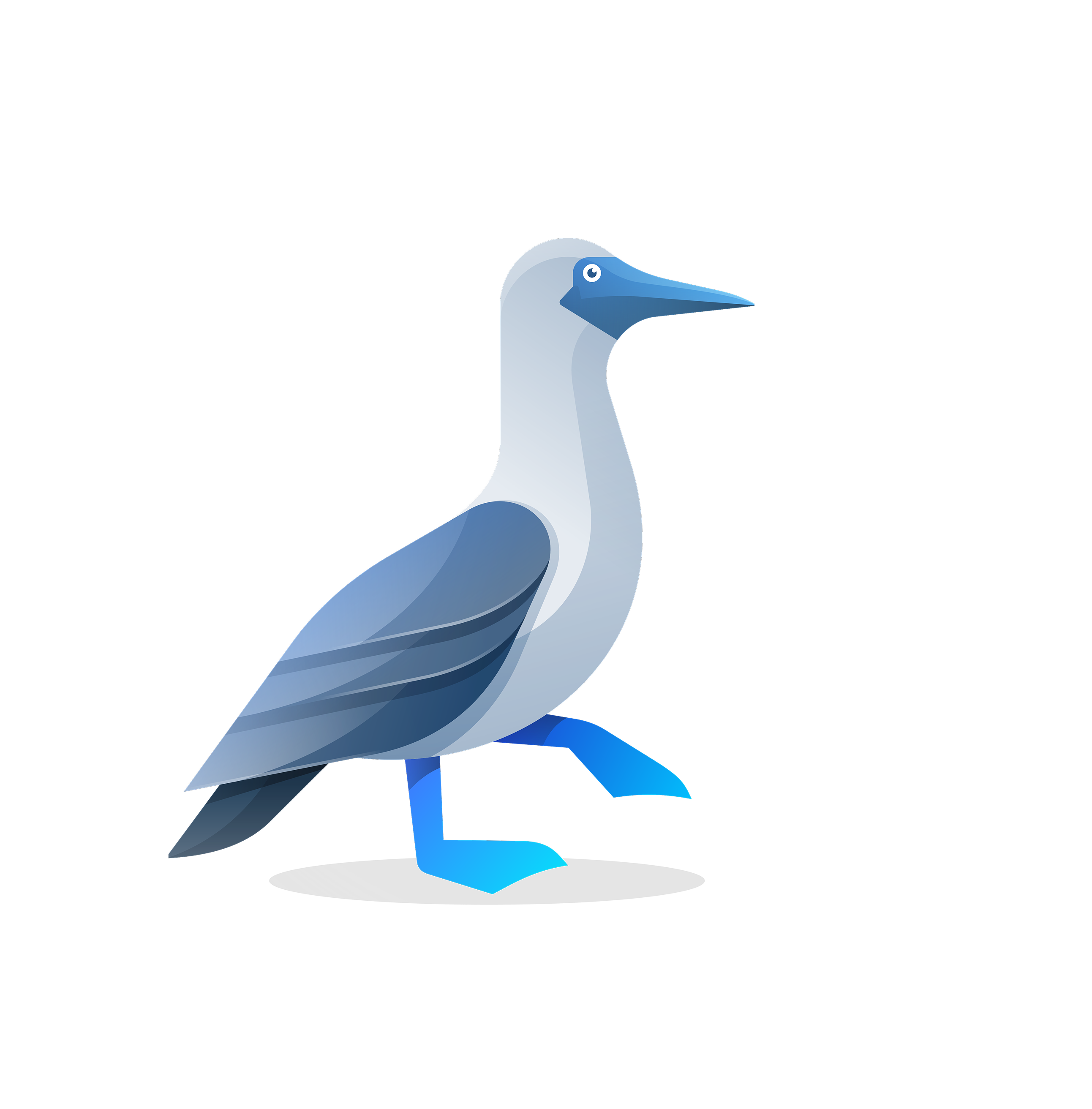 Das Bluepick-Logo, der Blaufußtölpel