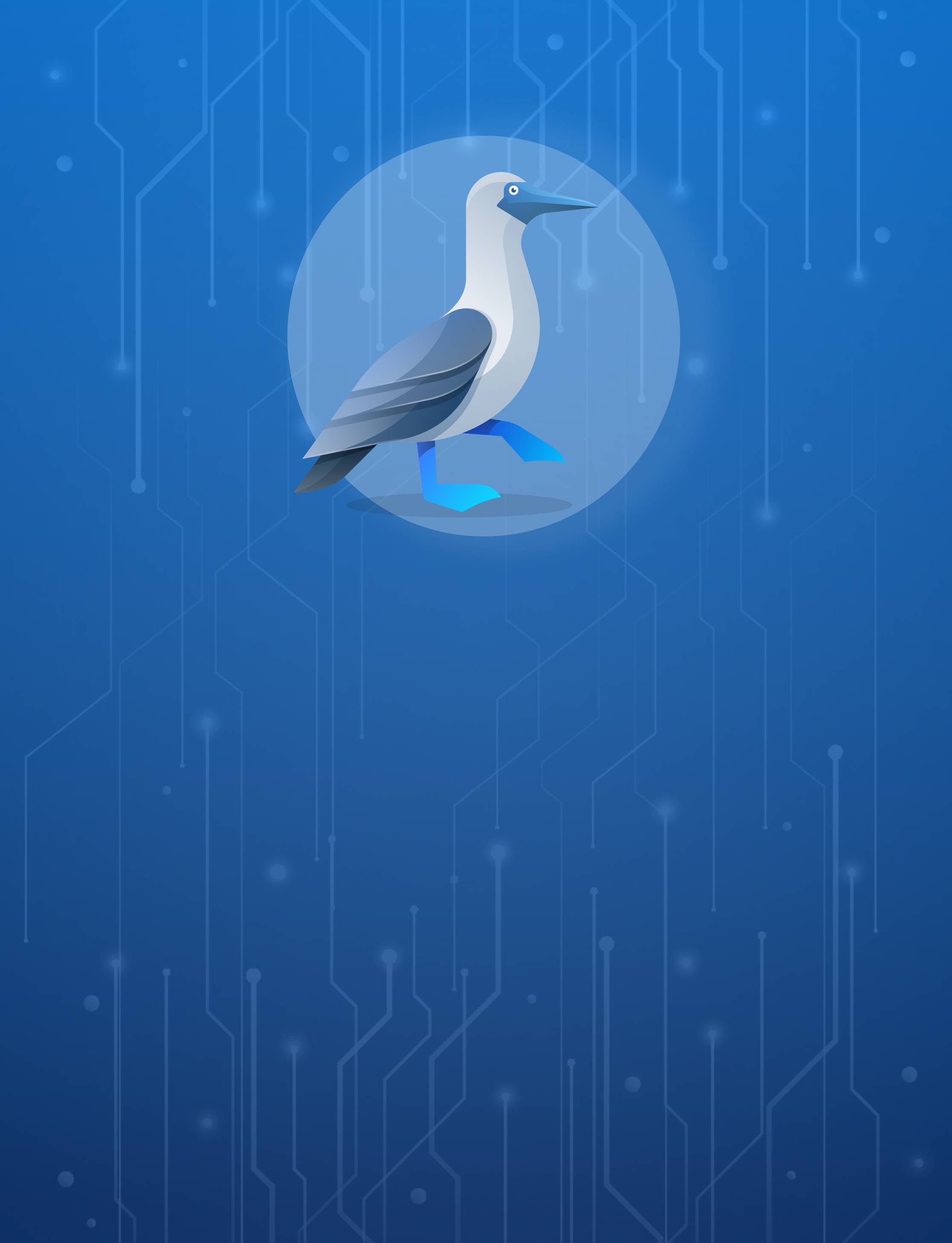 Bluepick-Logo - der Blaufußtölpel